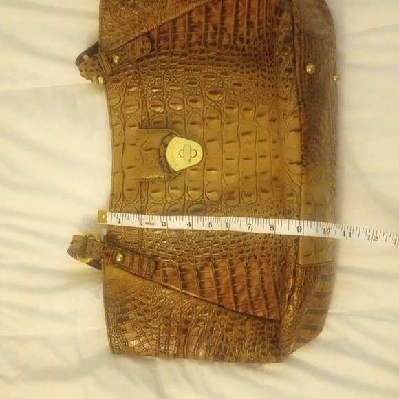 Brahmin - Picture 6 of 12